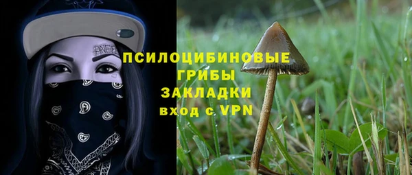 эйфоретик Галич