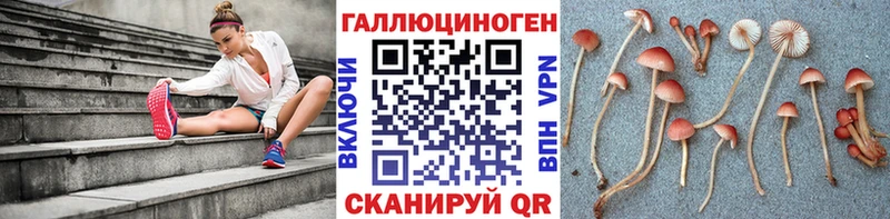 Псилоцибиновые грибы ЛСД  закладки  Сертолово 