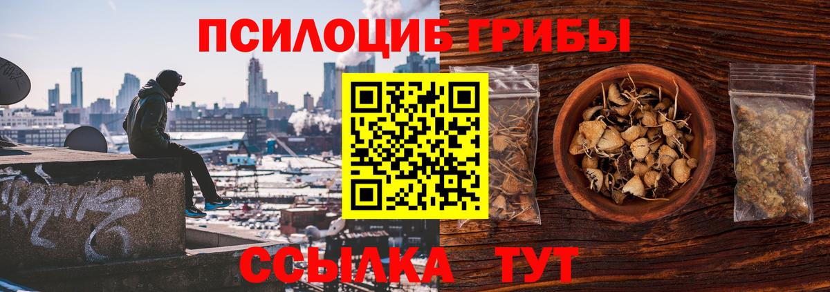 Псилоцибиновые грибы MAGIC MUSHROOMS Сертолово