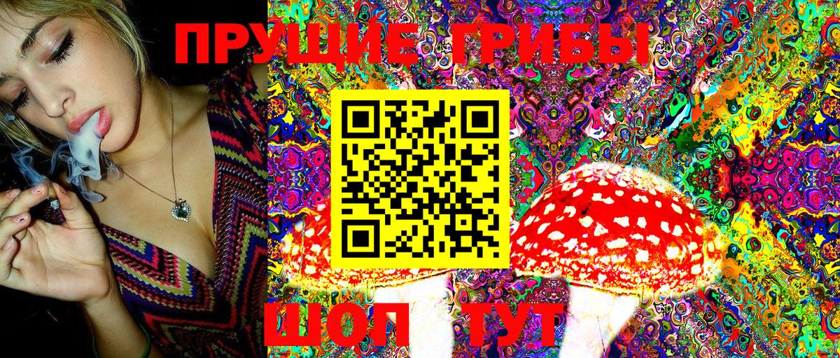 Сертолово  Галлюциногенные грибы MAGIC MUSHROOMS  Вход с VPN  Псилоцибиновые грибы Magic Shrooms 